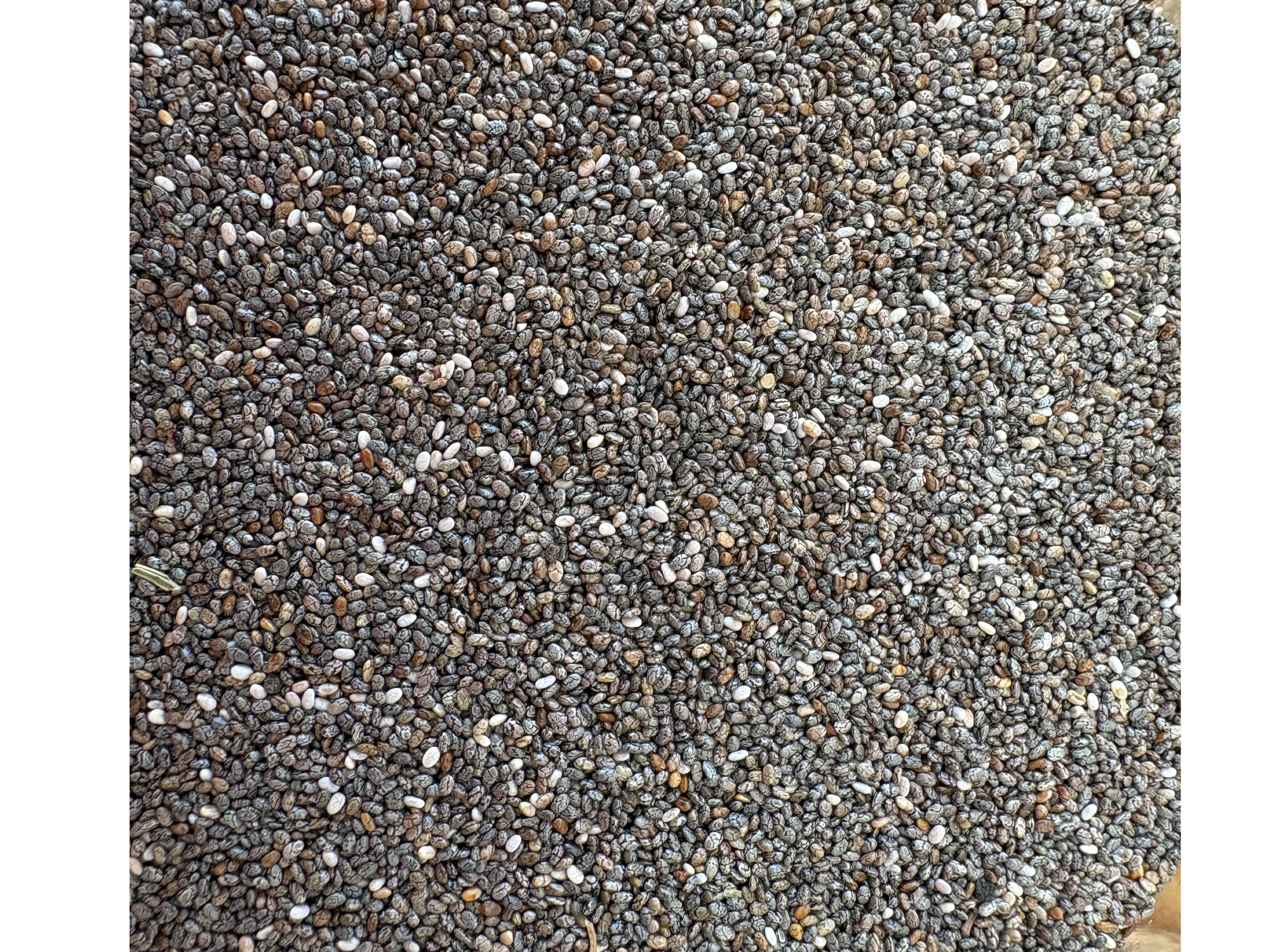 Chia de VitaMarket