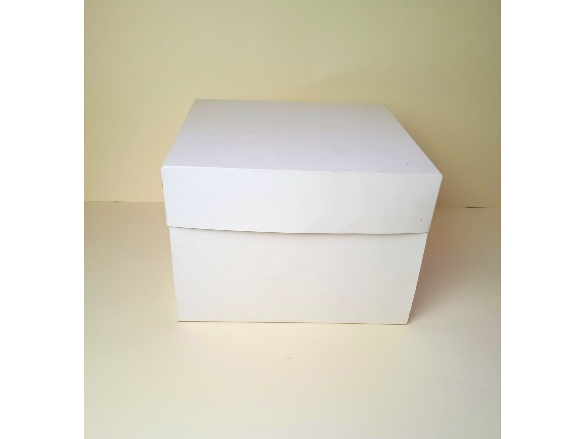 Caja 28*28*14.5 cm