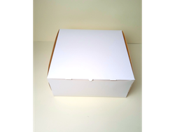 Caja 20*20*9 cm
