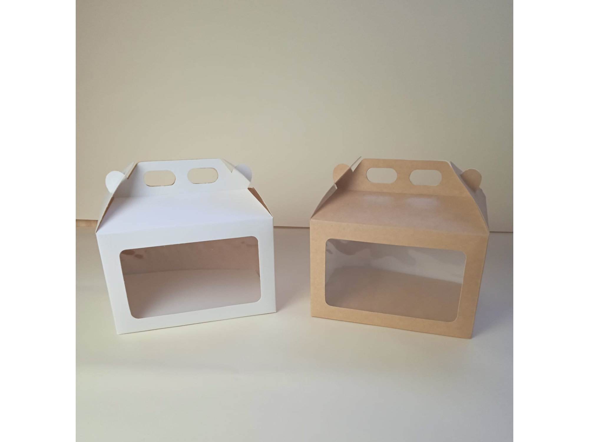 Caja 21*14*14 cm