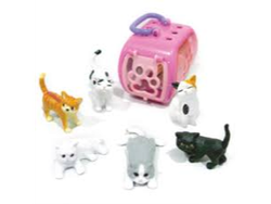 Caty House