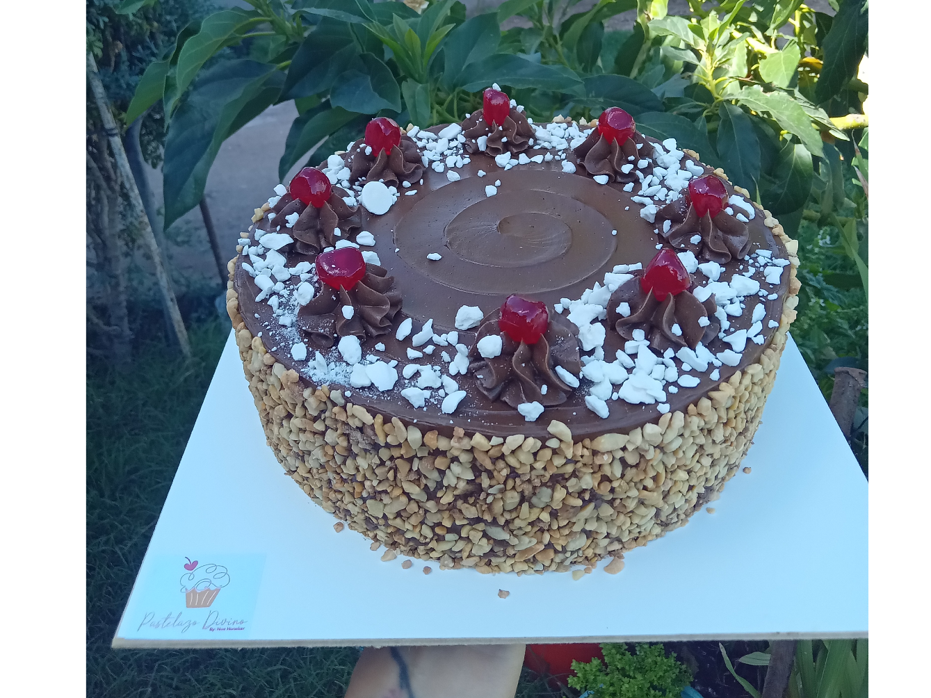 TORTA CUMPLEAÑOS BÁSICA SIN DISEÑO