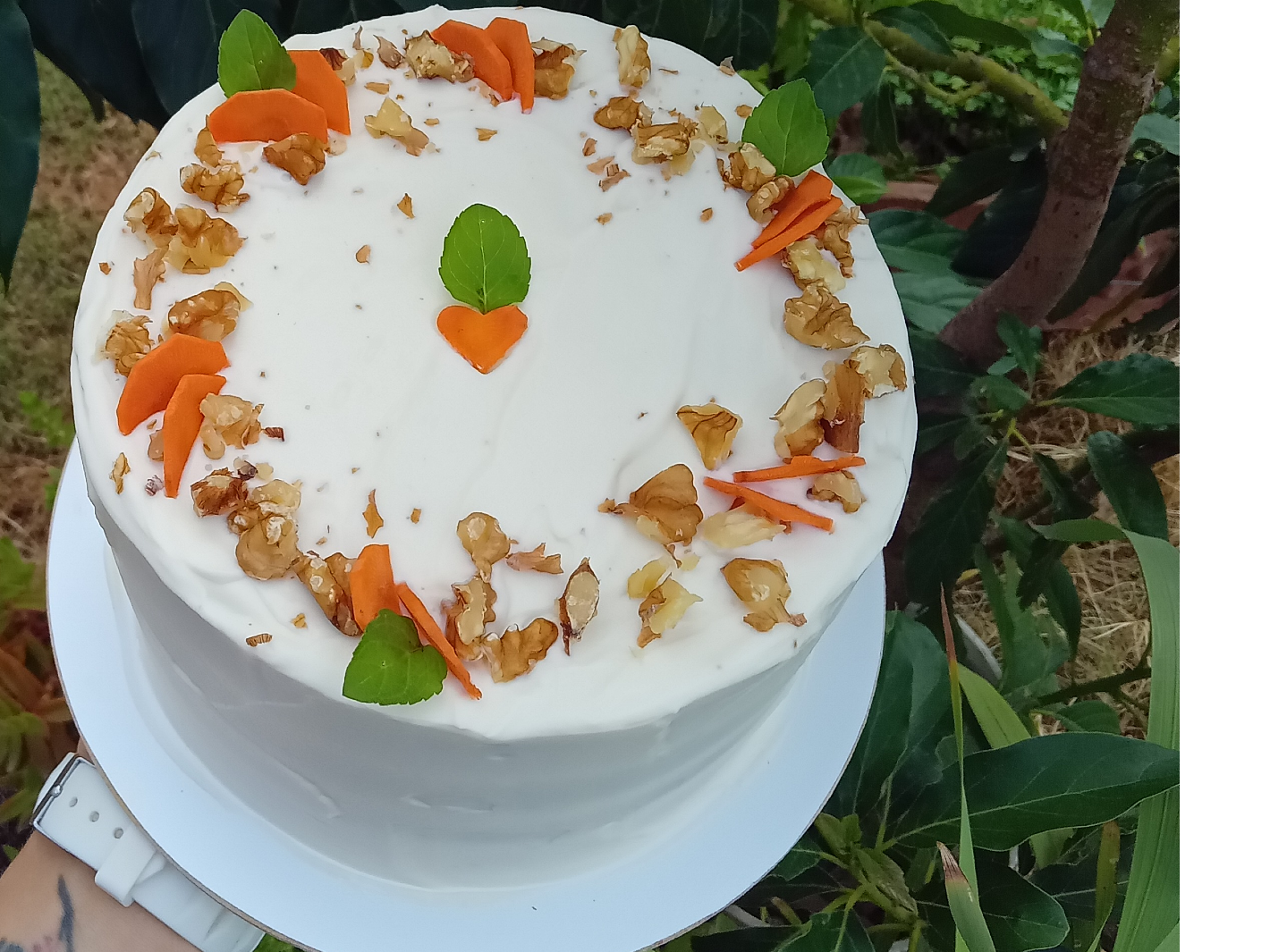 CARROT CAKE 🥕✨️