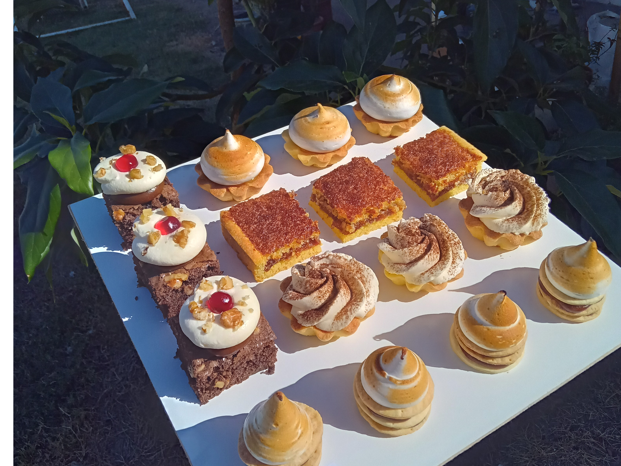Bocados surtidos de Noe Honeker DIVINE CAKE