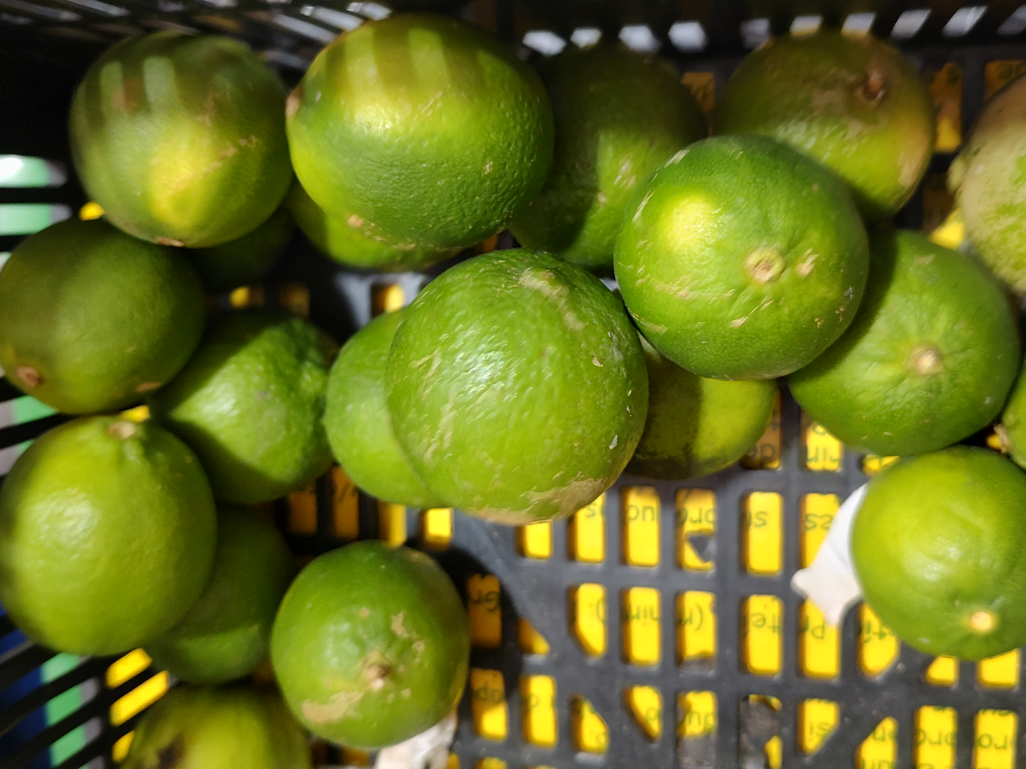 Limon
