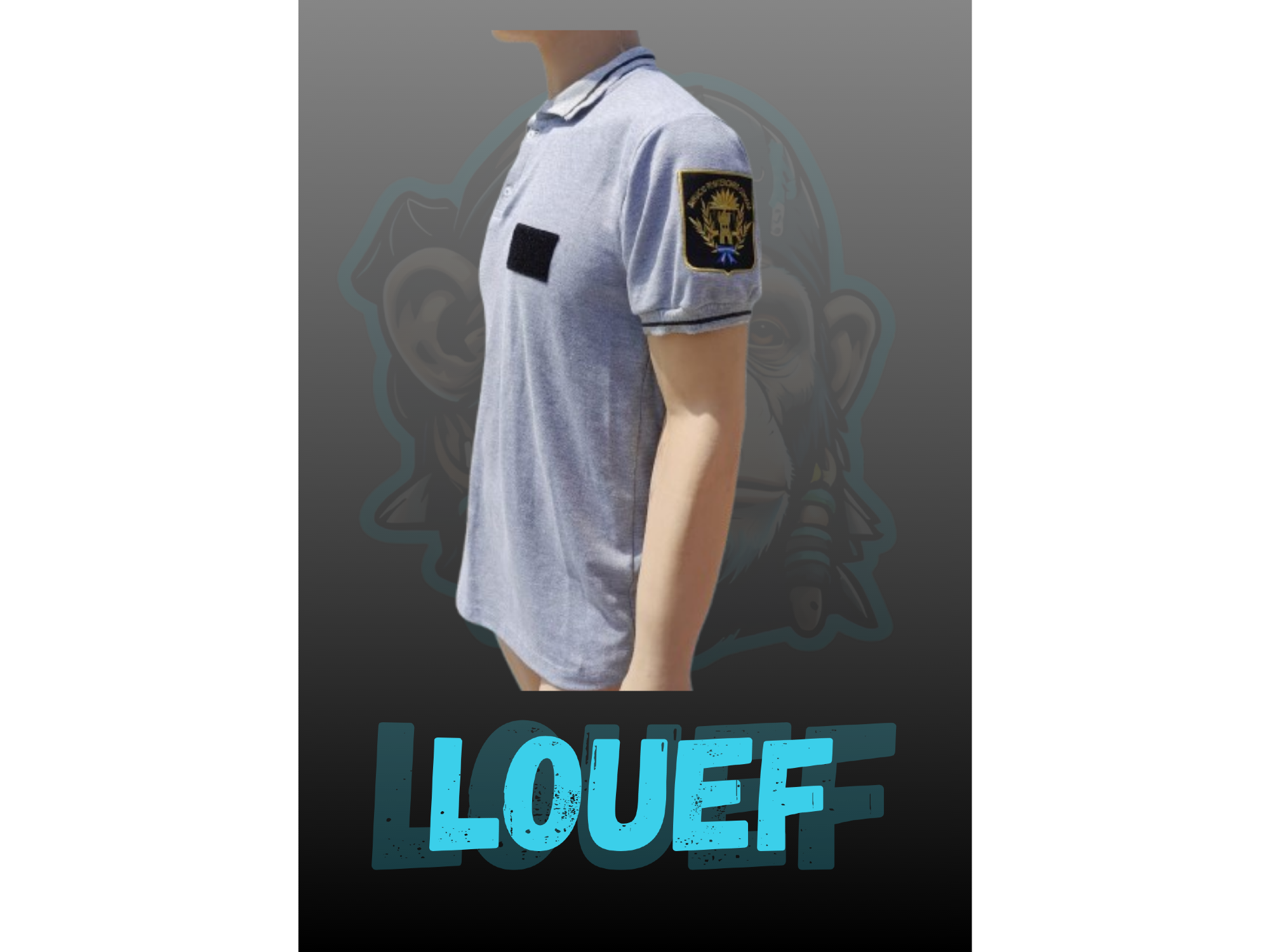 Remera Gris SPC