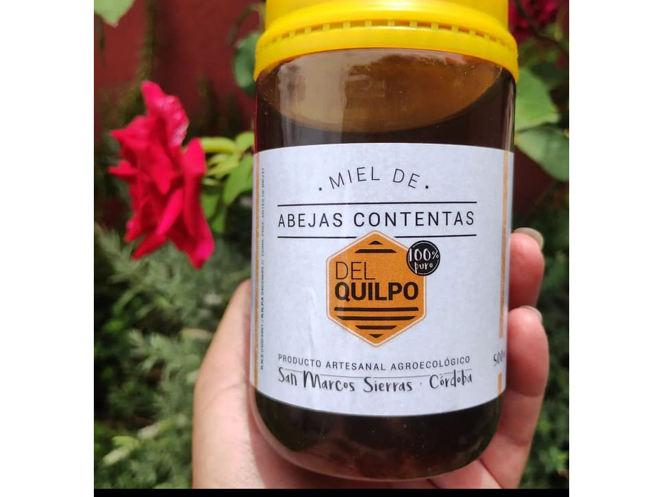 Miel Agroecológica Del Quilpo x500g