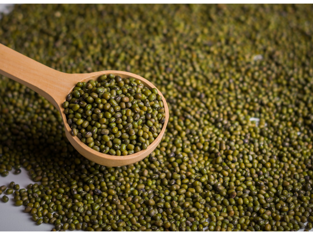Porotos Mung