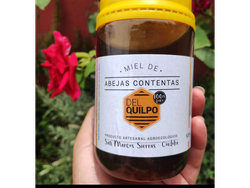 Miel Agroecológica Del Quilpo