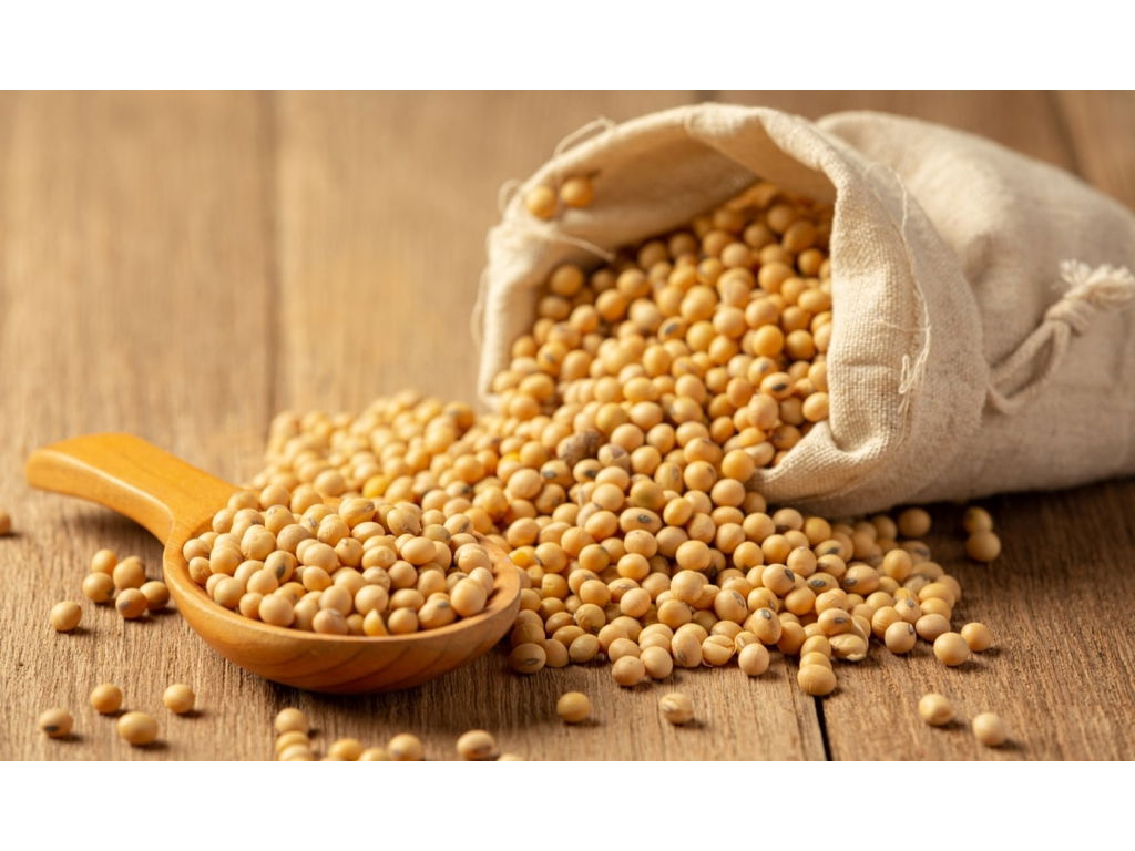 Porotos de soja