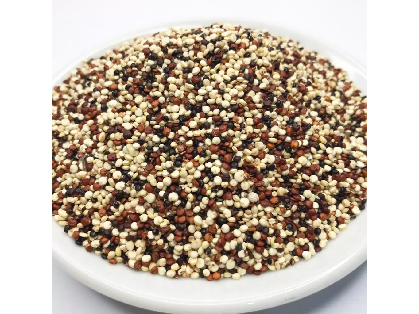 Quinoa Tricolor