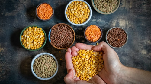 Legumbres y Texturizados