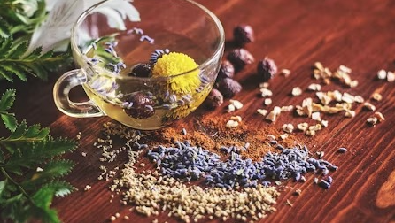 HERBORISTERIA, BOTANICOS, HIERBAS ETC