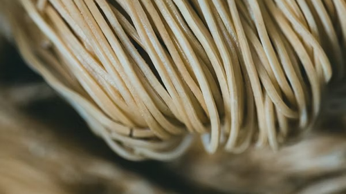 Fideos y Galletas