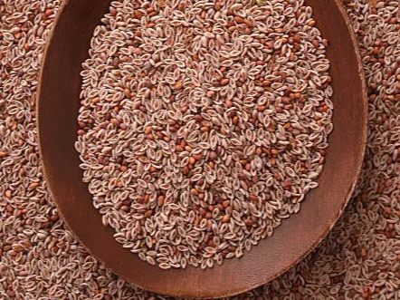 Psyllium semillas