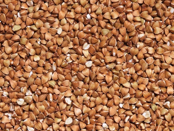 Trigo Sarraceno semillas