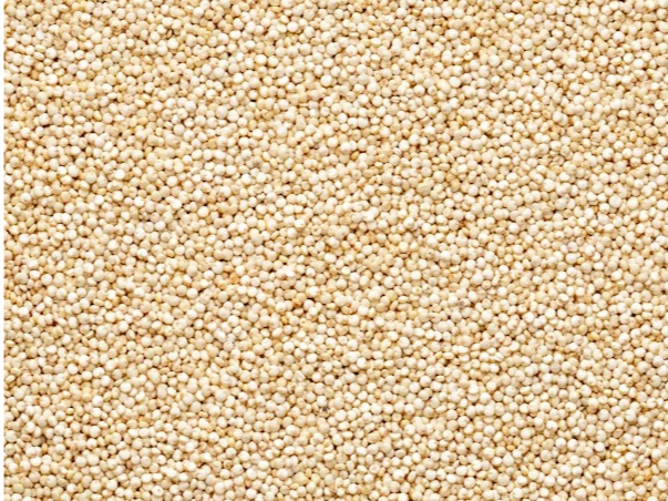 Quinoa Blanca Boliviana