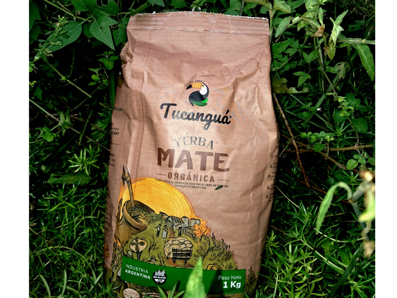 Yerba Mate Tucangua ORGANICA  1k