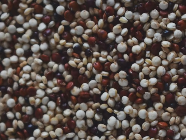 Quinoa Tricolor