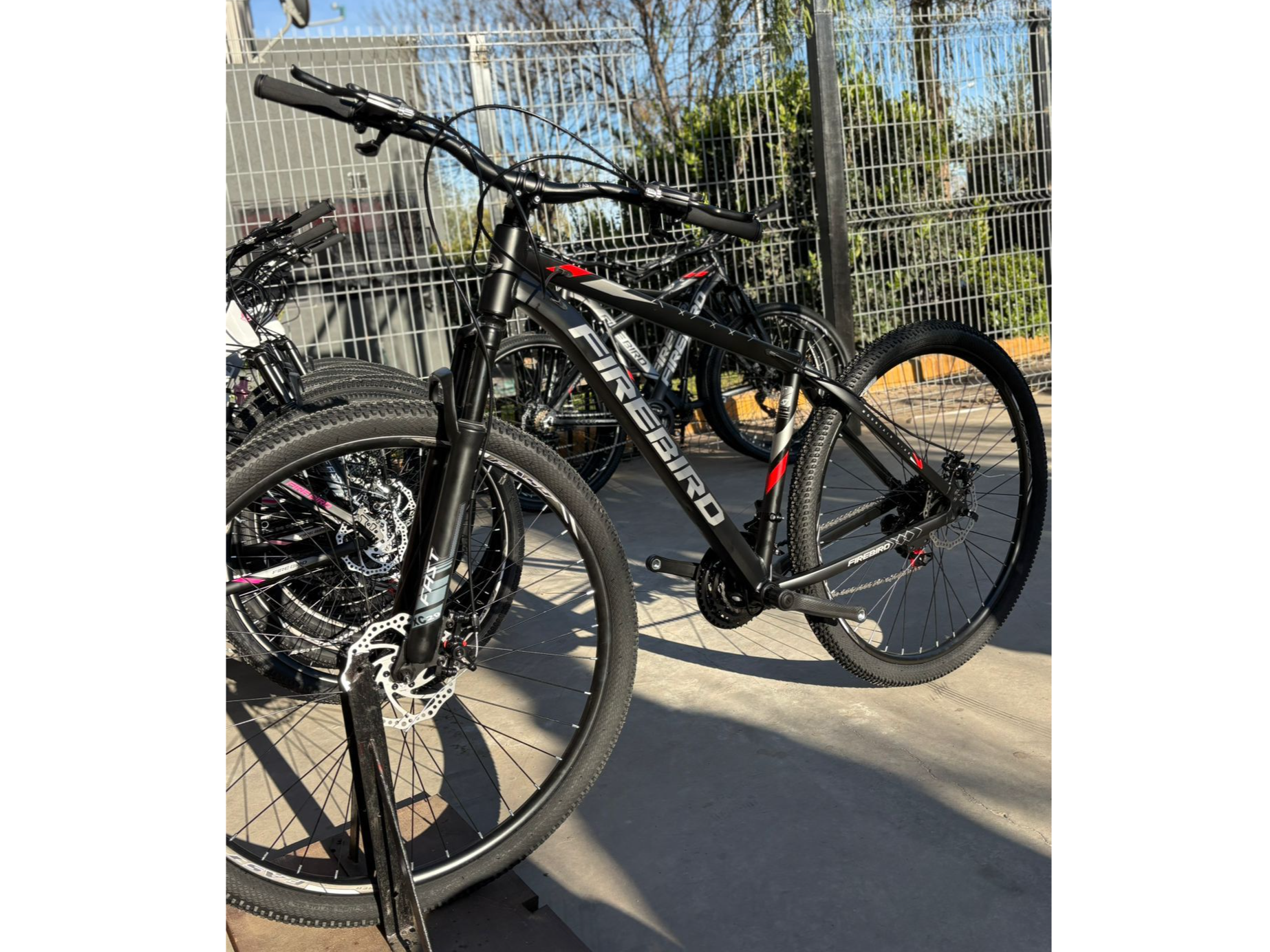 Bicicleta Firebird R29
