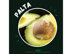 Palta