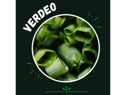 Cebolla de verdeo