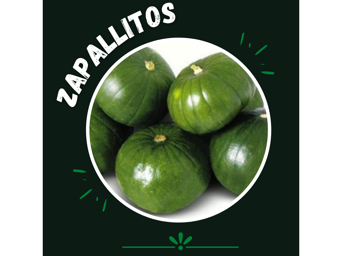 Zapallito verde