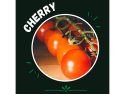 Tomate cherry