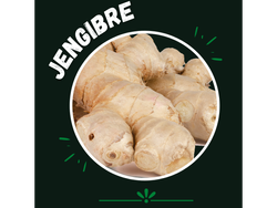Jengibre raiz