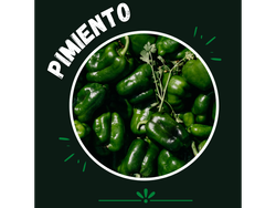 Pimento verde