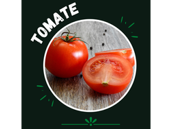 Tomate redondo