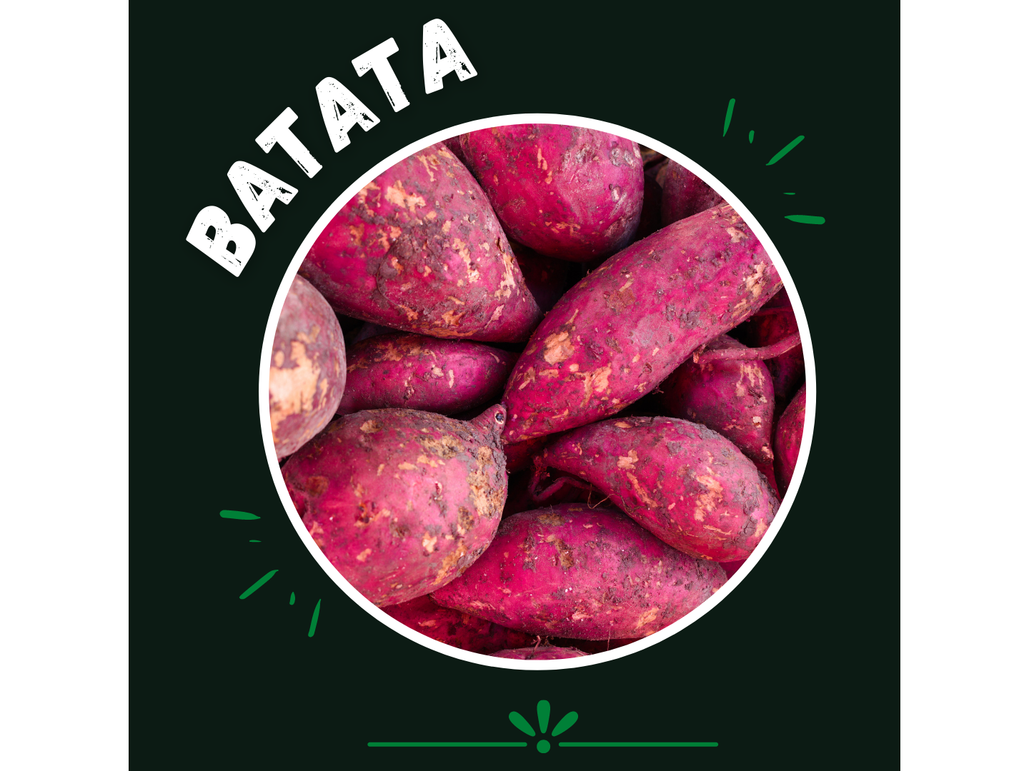 Batata