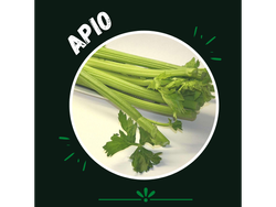 Apio