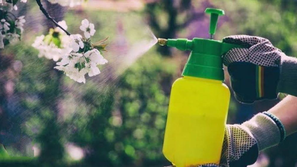 INSECTICIDAS