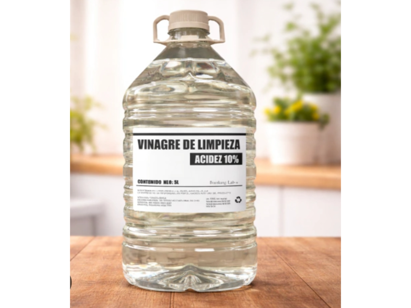 Vinagre de Limpieza