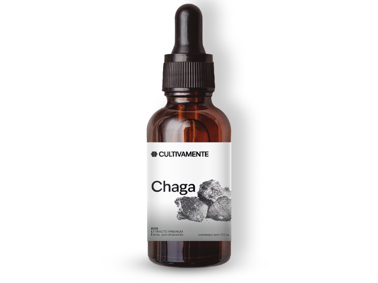 CHAGA