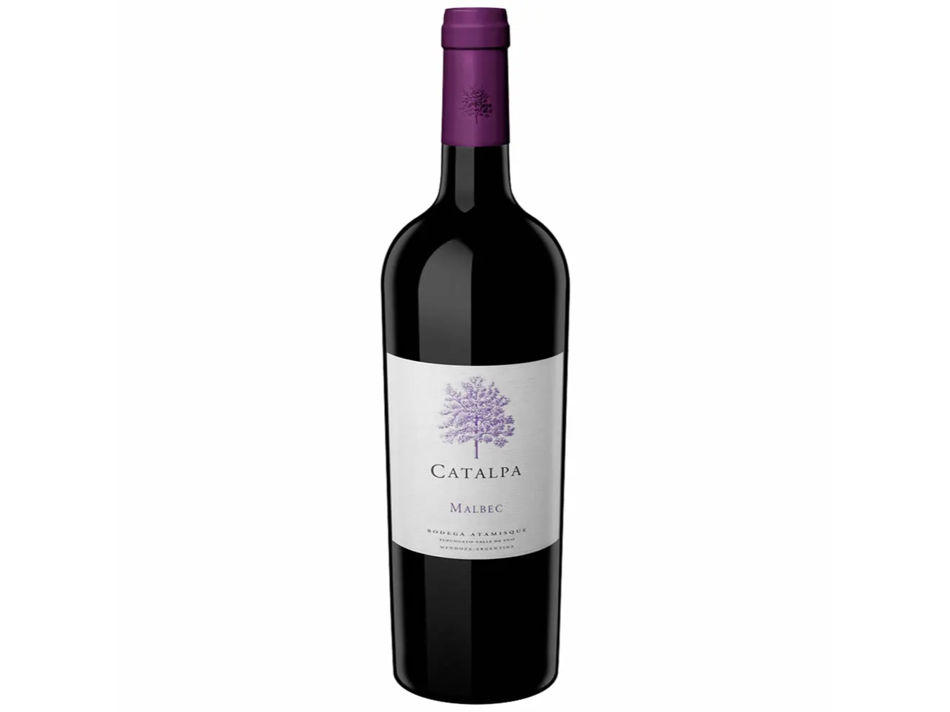 Catalpa malbec