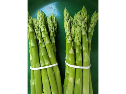 Espárragos