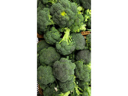 Brocoli