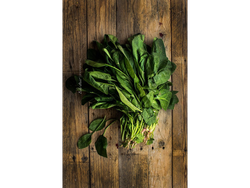 Espinaca