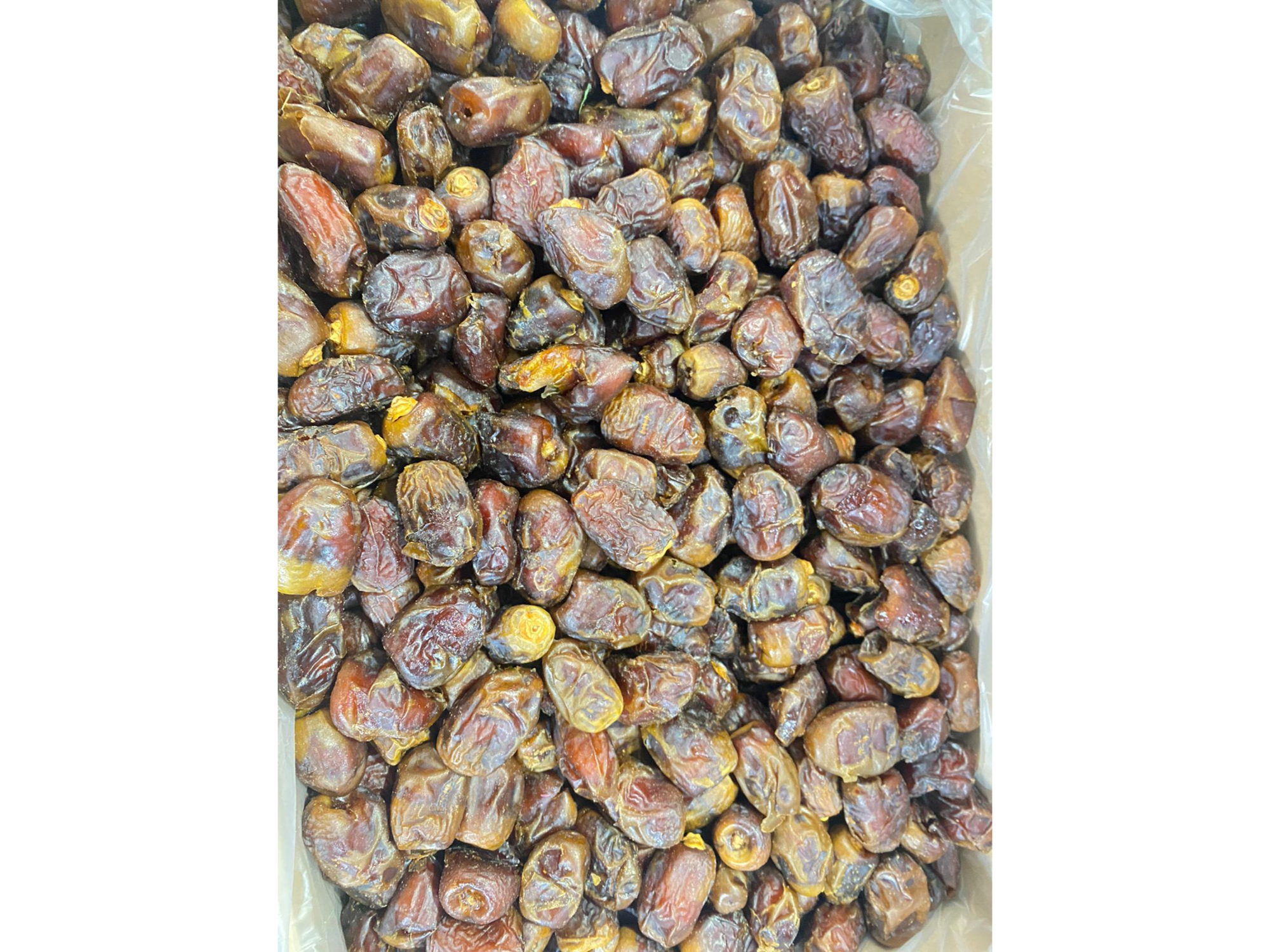 Datil egipto Con Carozo x 10kg