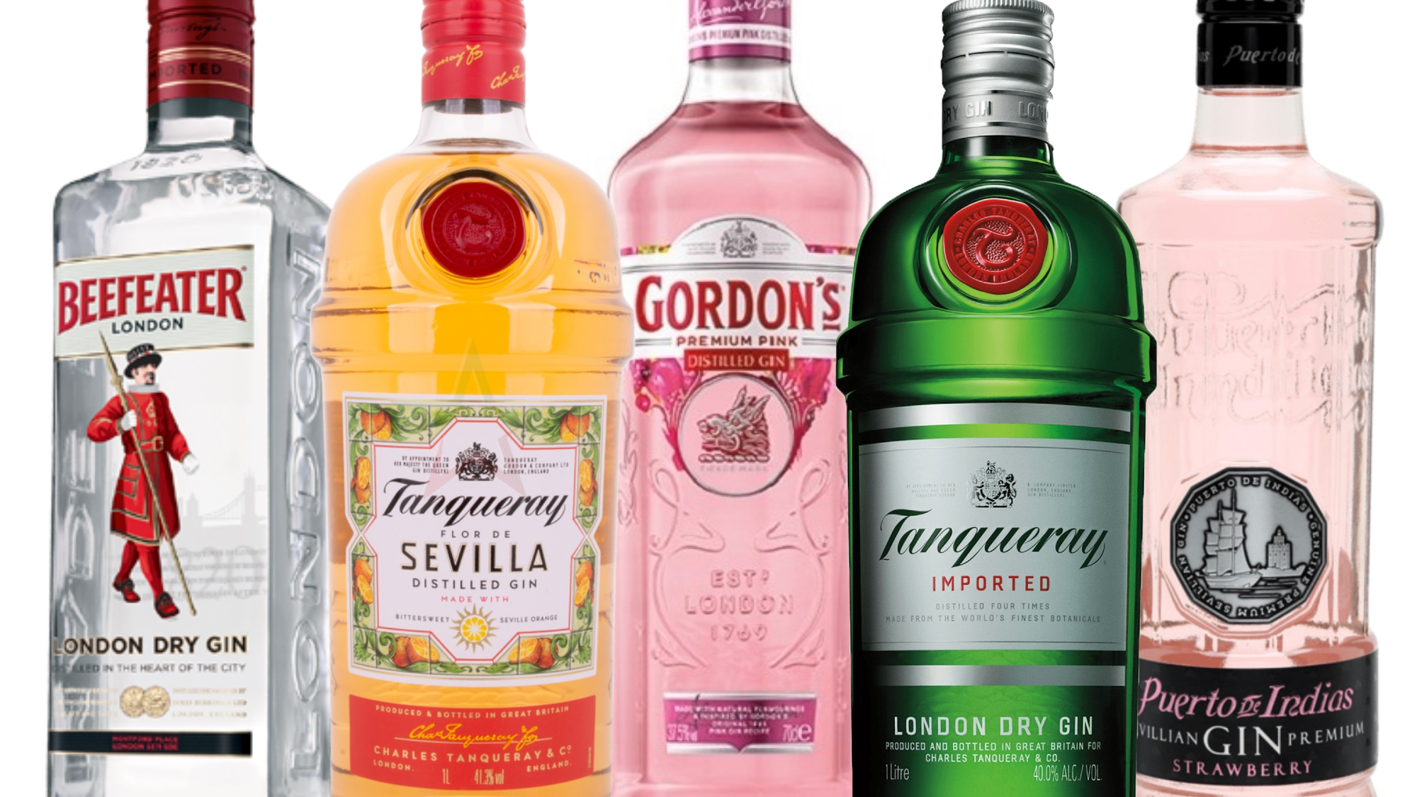 GIN