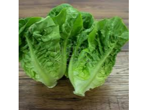 LECHUGA X250GR
