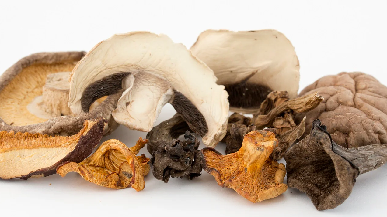 Hongos Deshidratados