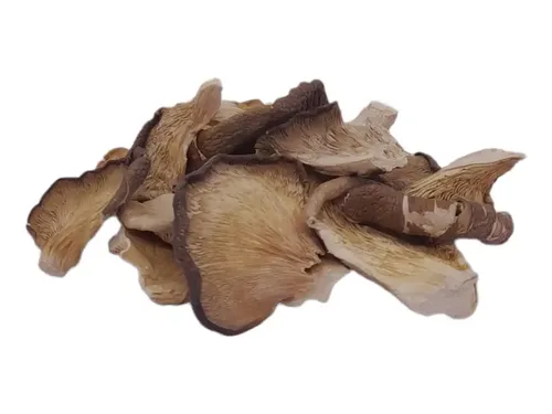 Hongos Oyster Girgolas