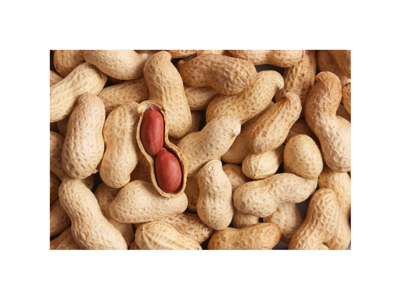 Maní con cáscara