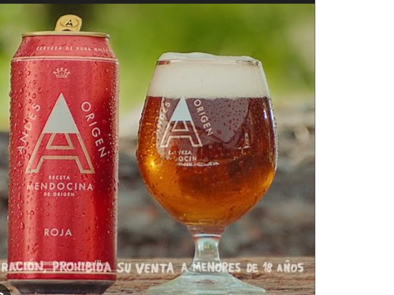 Andes Roja lata 473 cc.