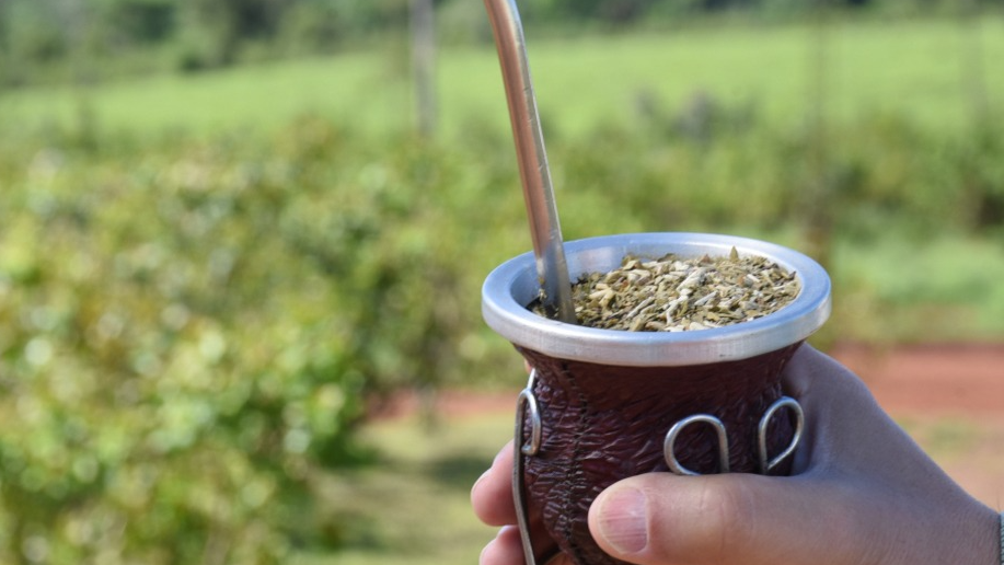 Yerbas
