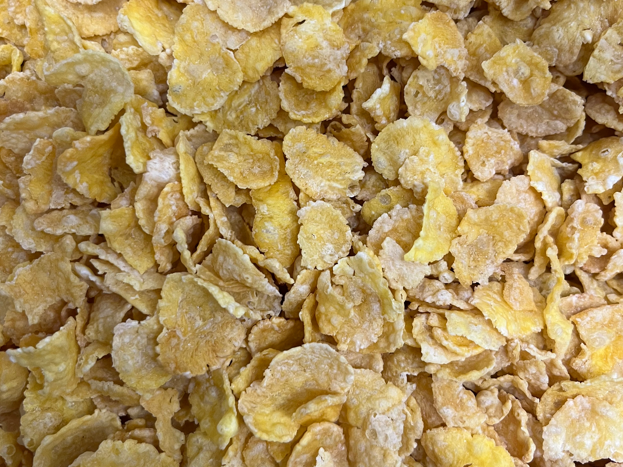 Copo de Maíz Natural