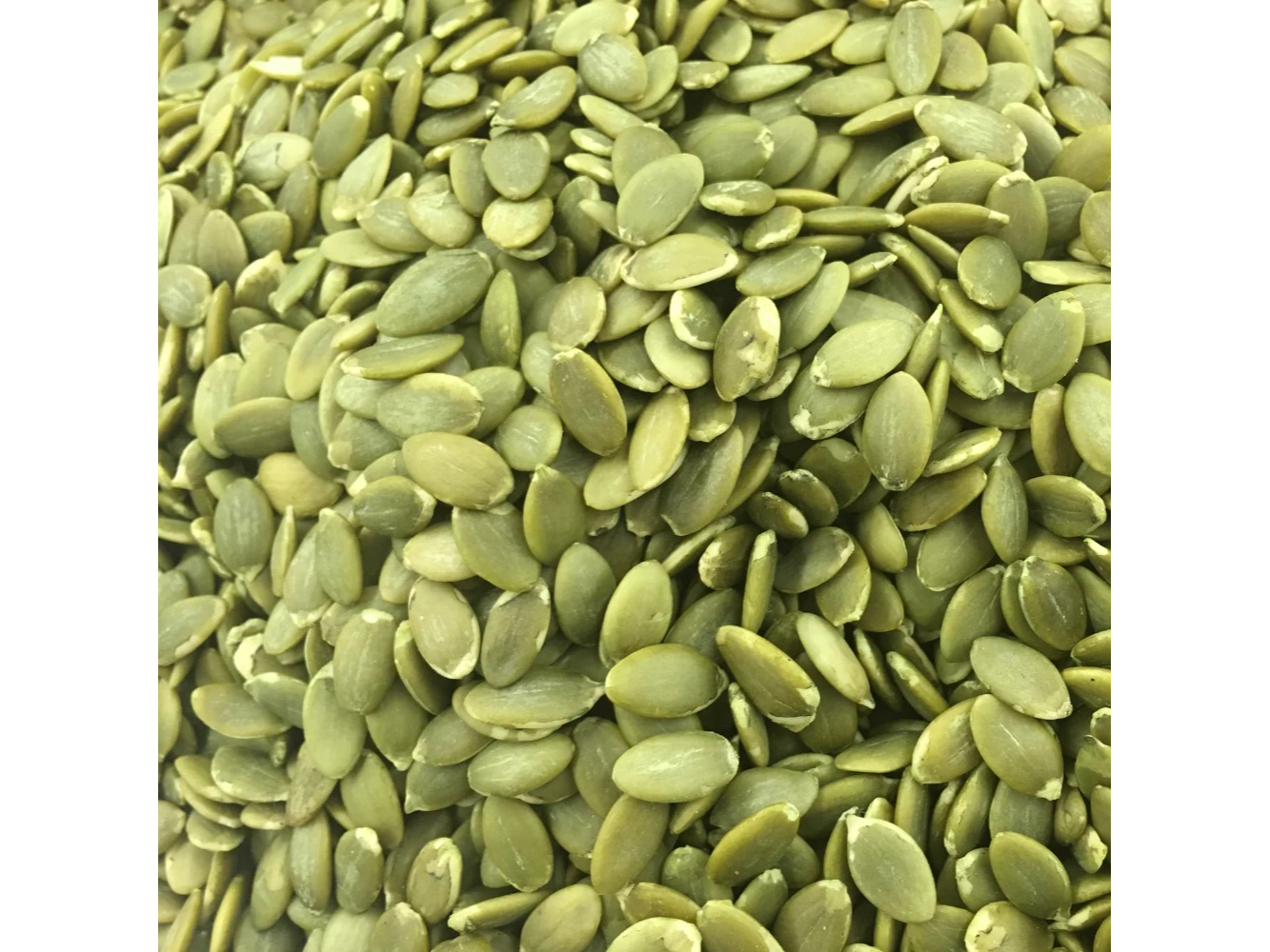 Semilla Zapallo Semilla AA